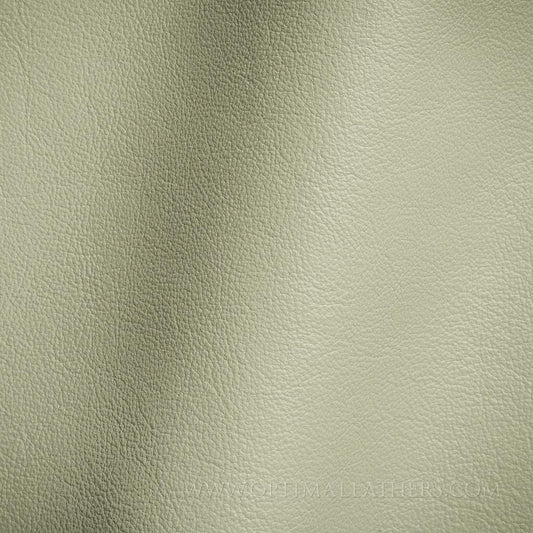 Classico - Dove