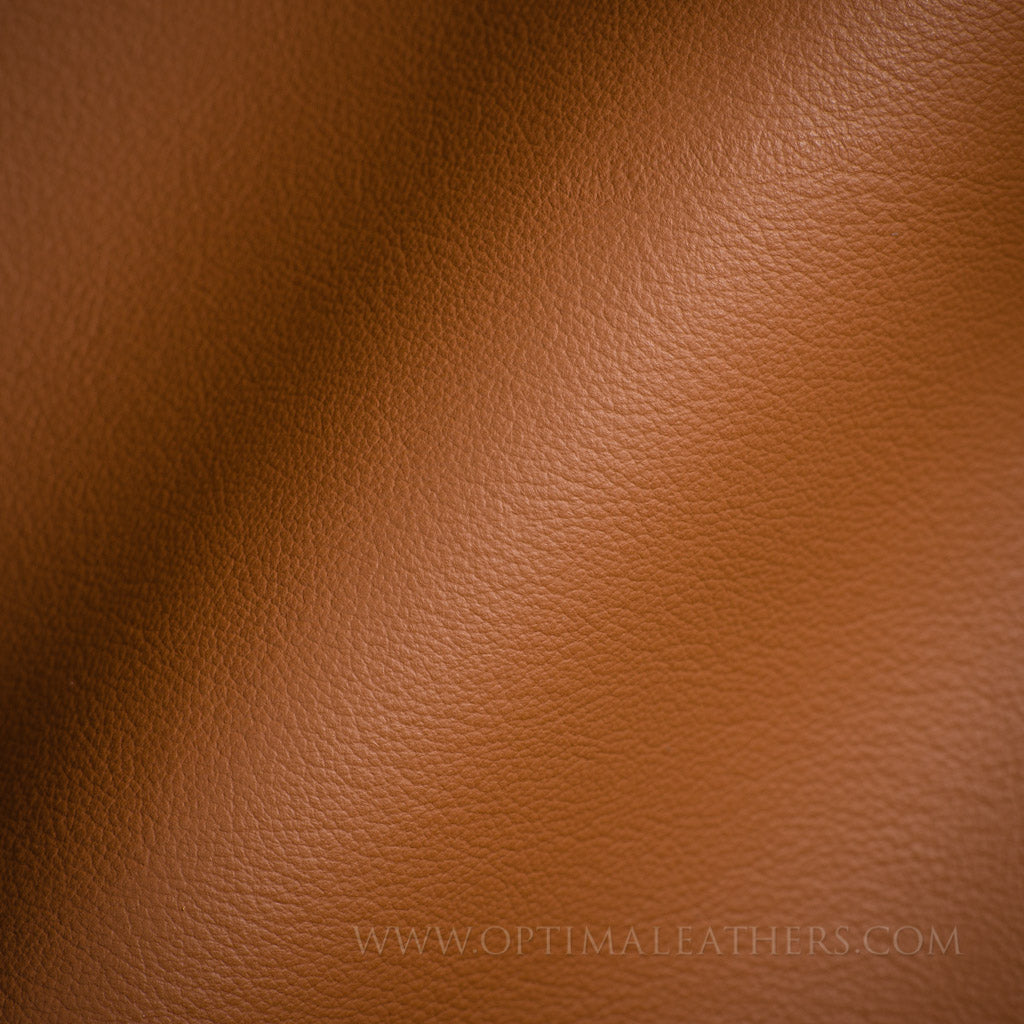 Classico - Harness Brown