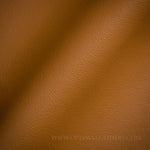 Classico - Tan