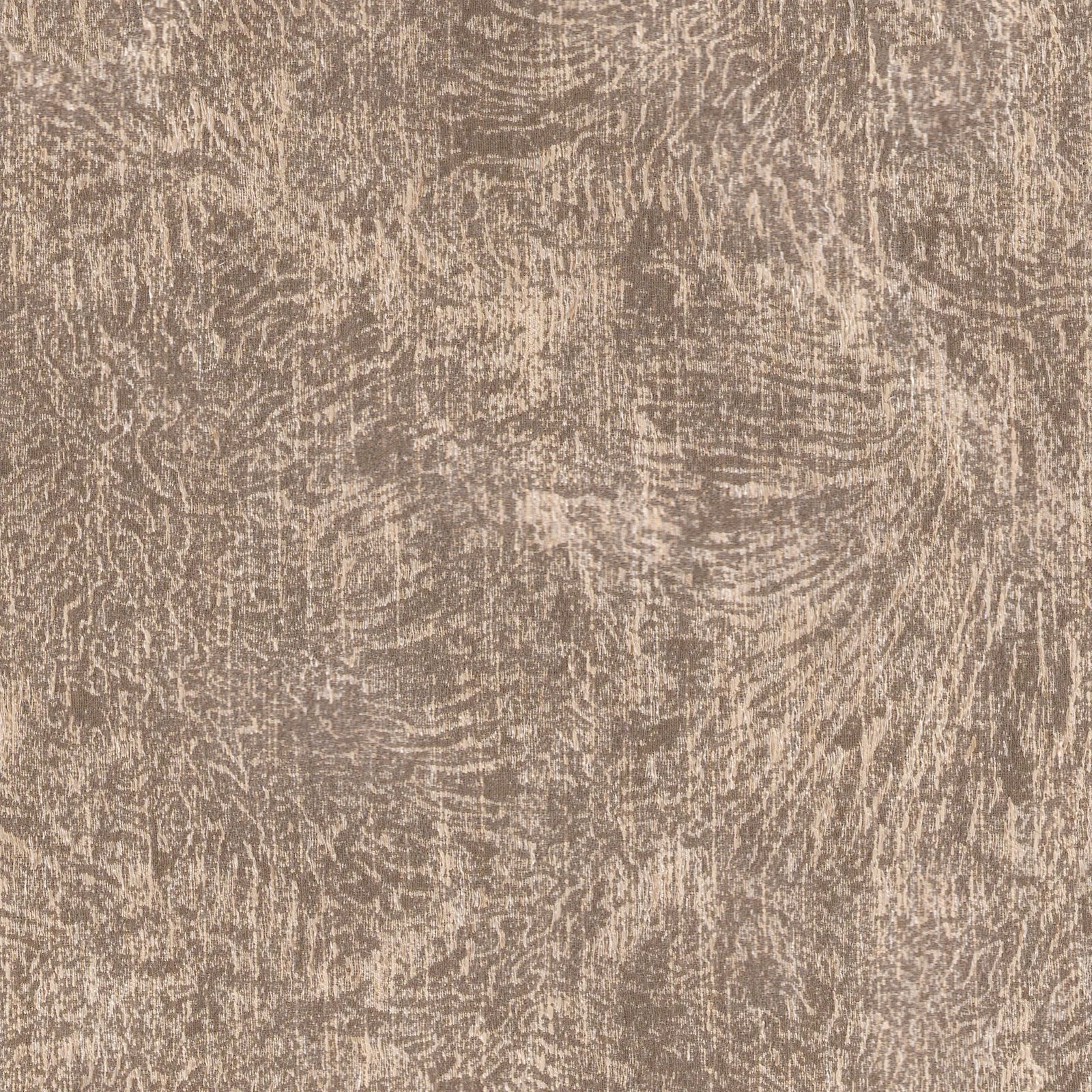 Cindaria - Driftwood