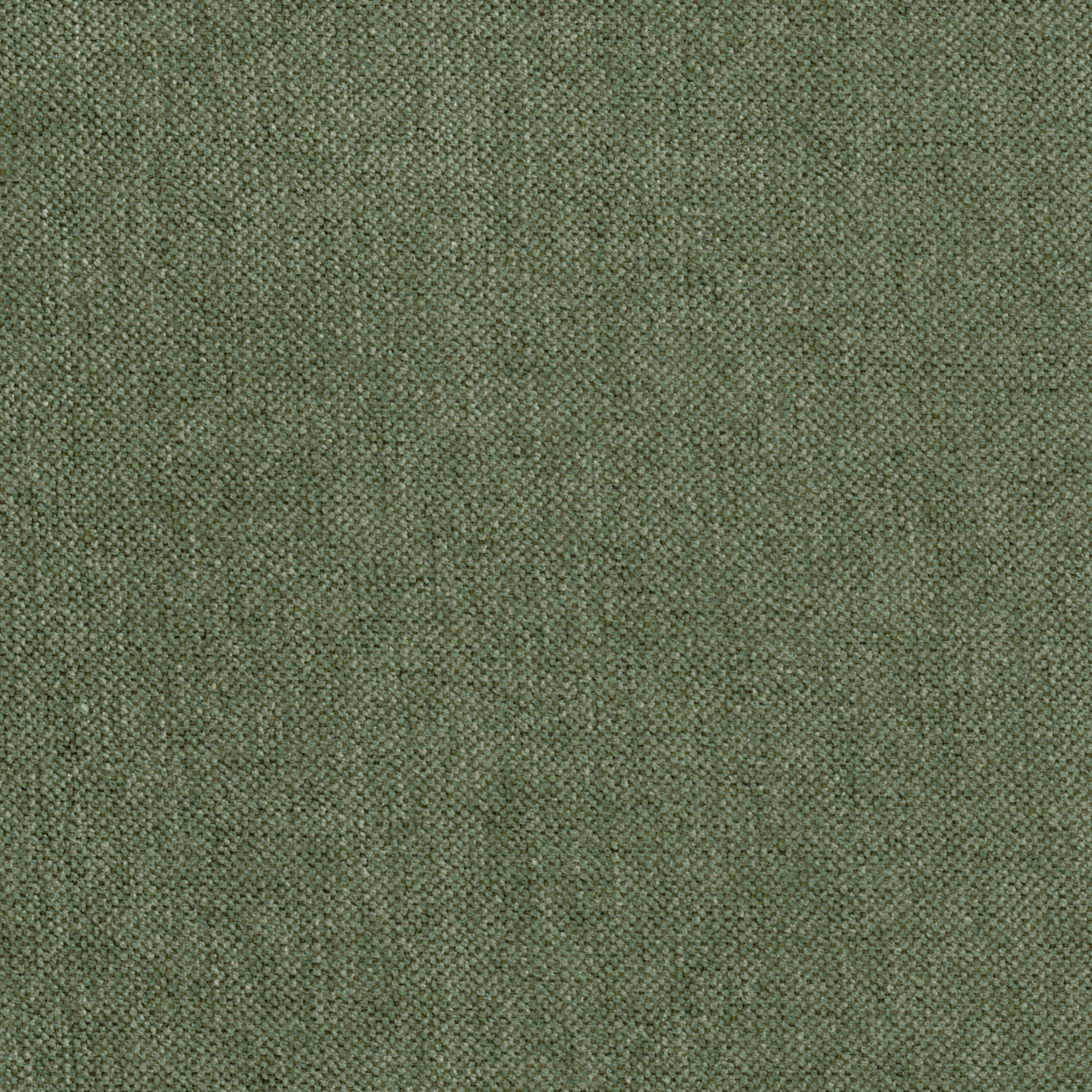 Dunbar - Fennel (Closeout)