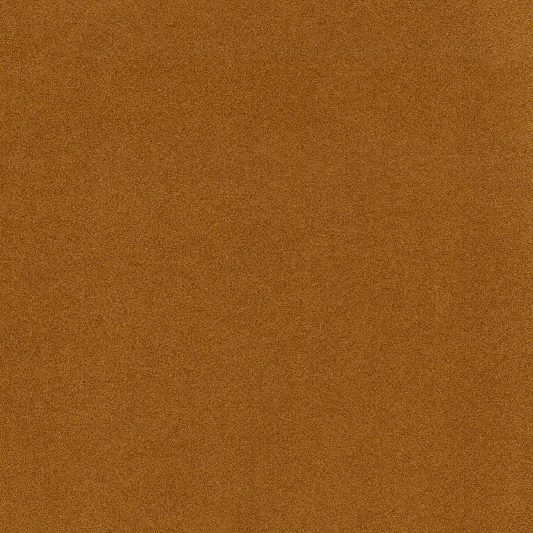 Mojo - 015