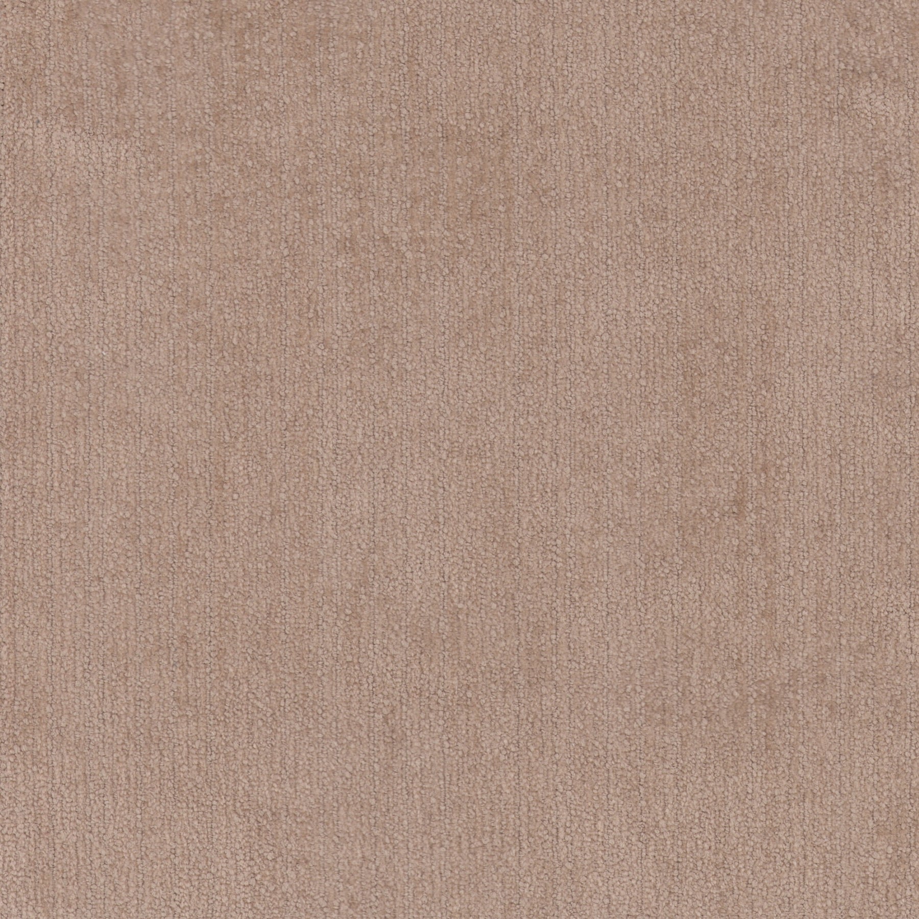 Monaco - Oatmeal