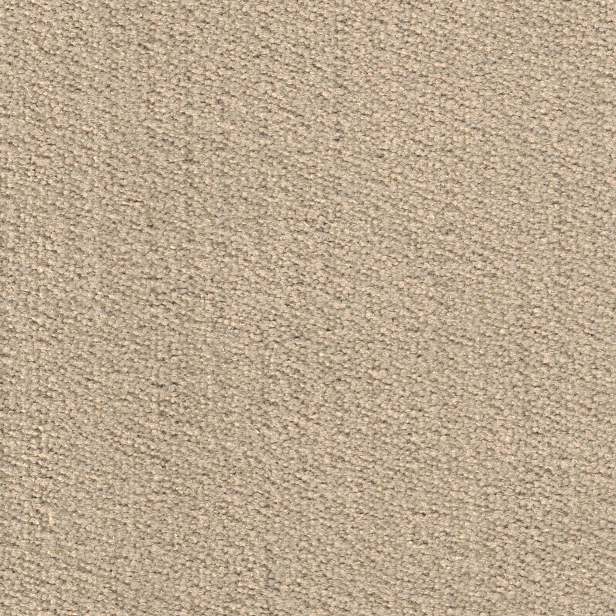 Punjab - Taupe (Closeout)