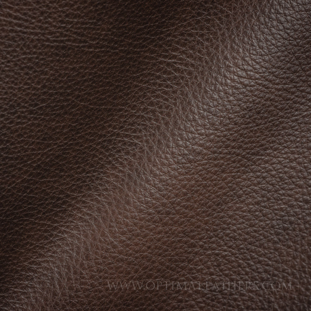 Royalton - Black Bean