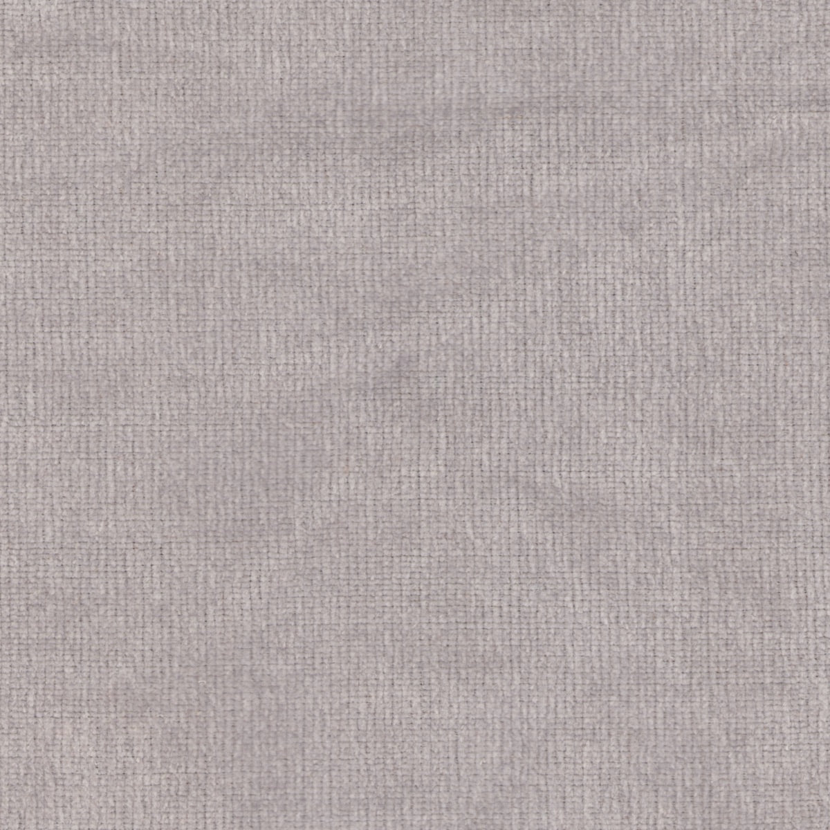 Salisbury - Fog (Closeout)