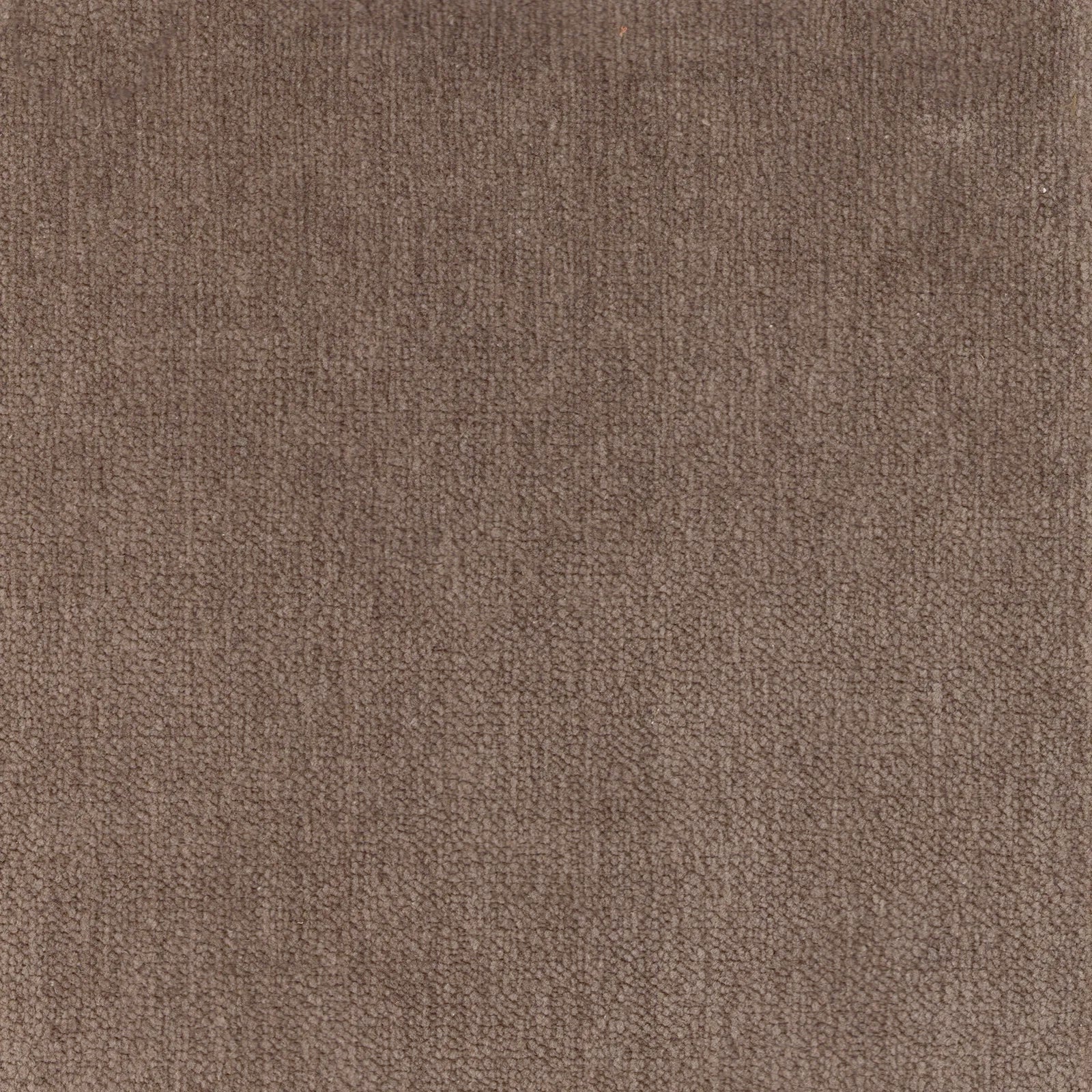 Stockholm - Mudstone