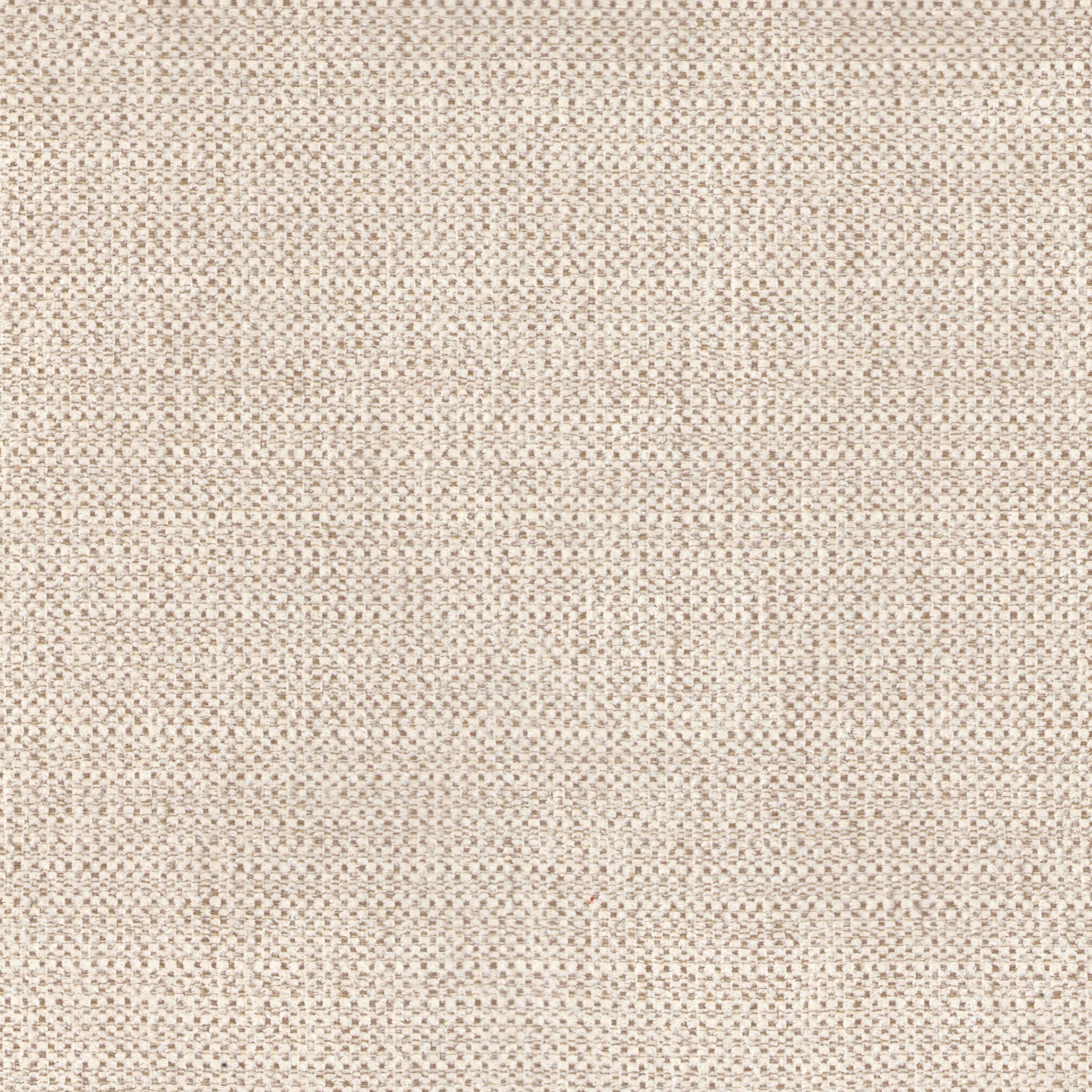 Venus - Cream