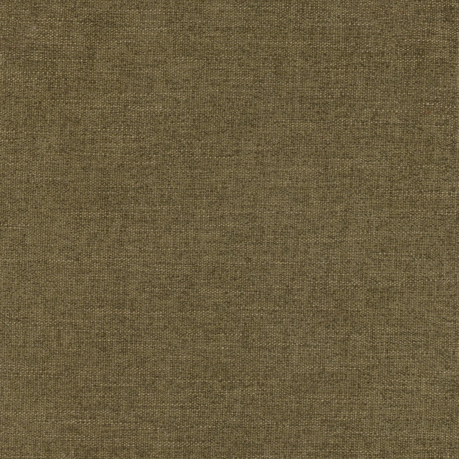 image of Eden - 12 fabric