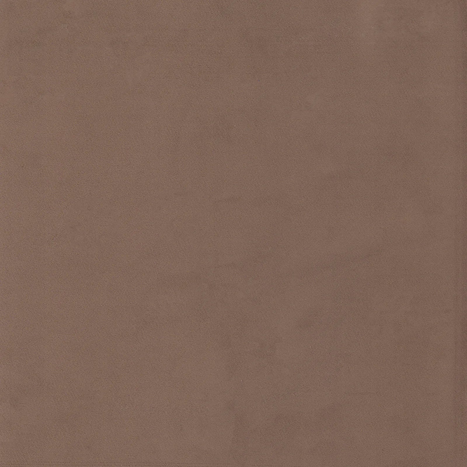 image of Mechi - Baby Bear fabric