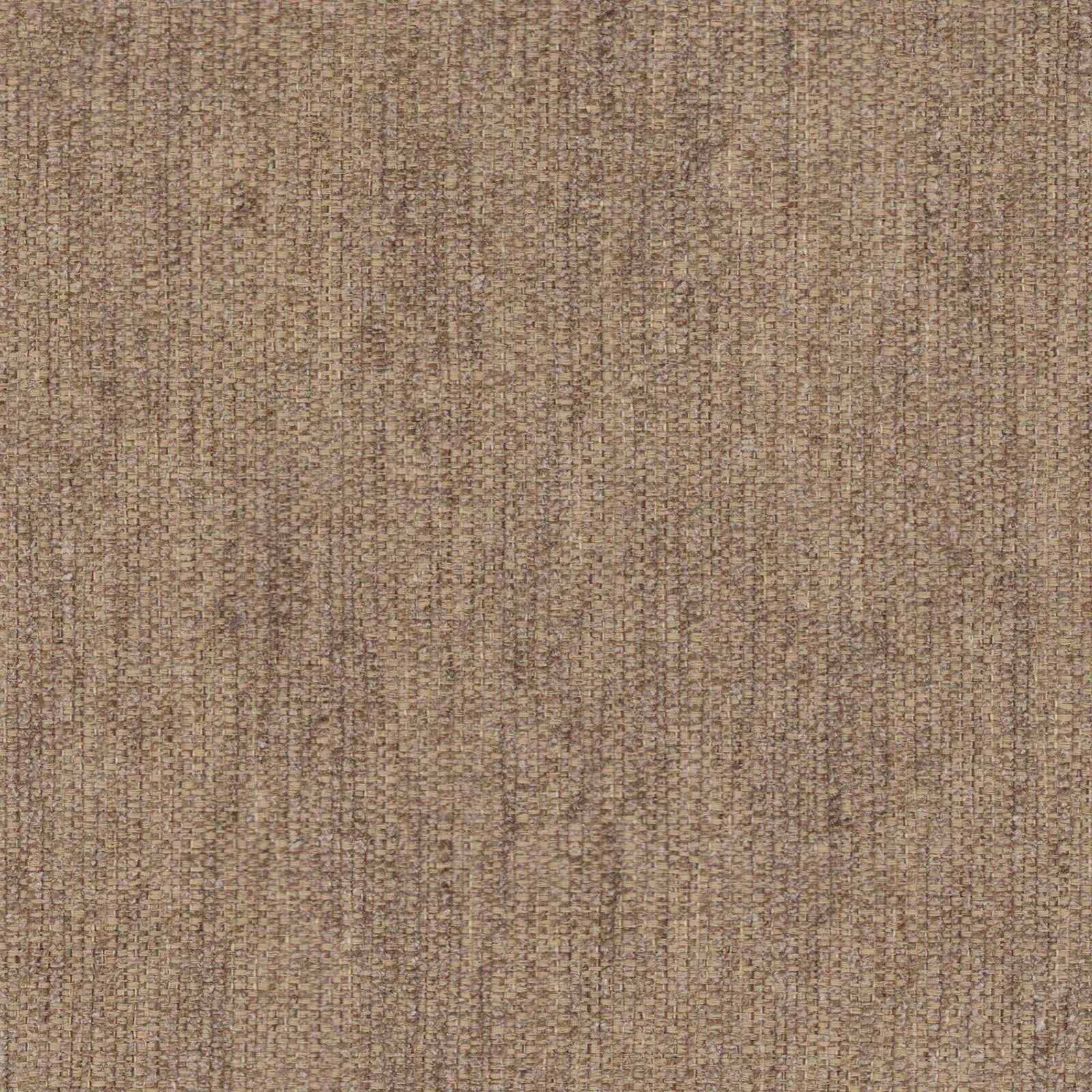 Ridge - Fawn