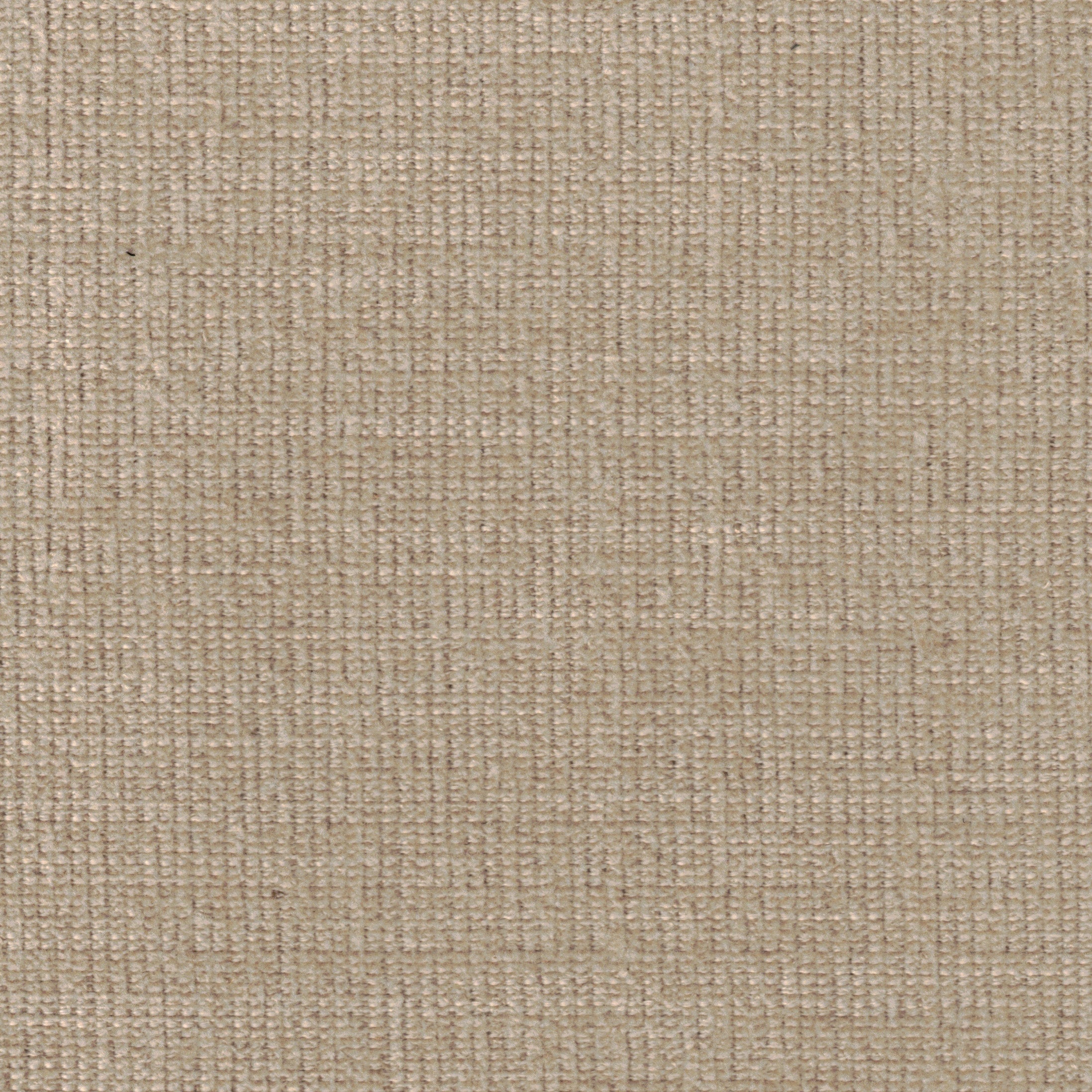 Salisbury - Flax